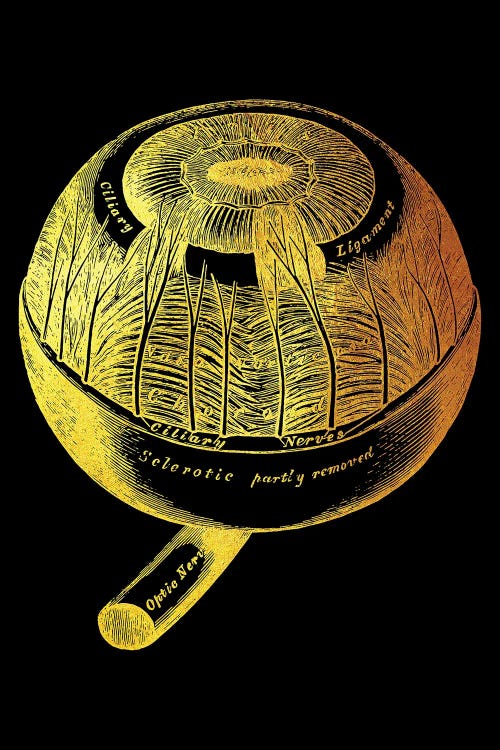 Eye Ball by Gab Fernando wall art