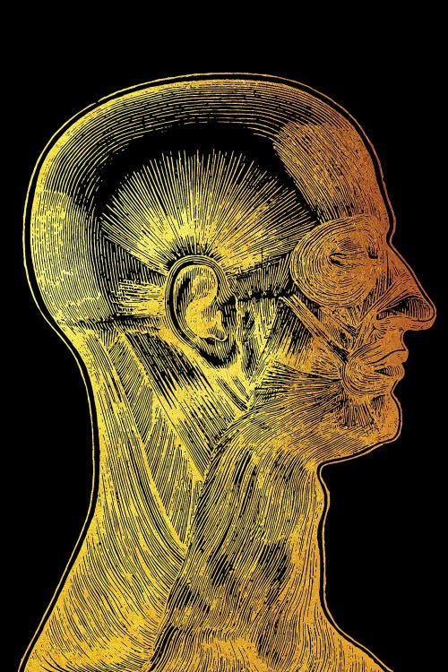 Side Face