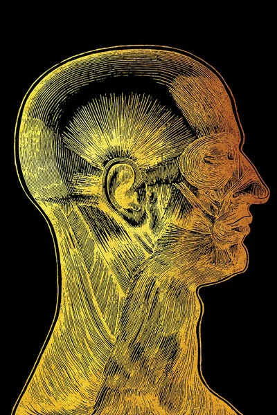 Biology: Side Face by Gab Fernando