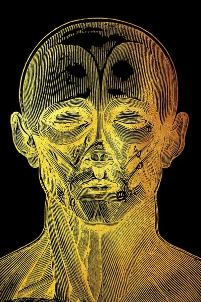 Biology: Front Face by Gab Fernando