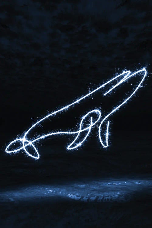Blue Whale by Gab Fernando wall art