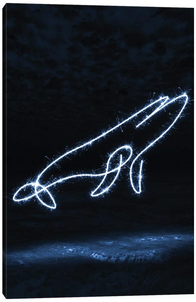 Blue Whale Canvas Art Print - Humpback Whale Art
