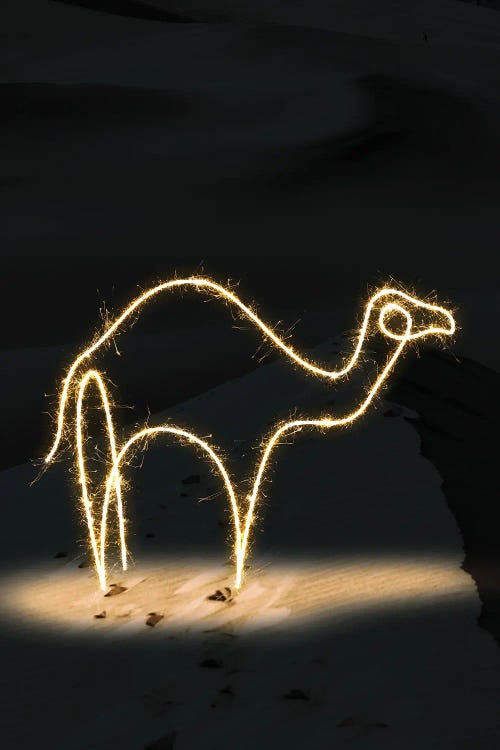 Camel