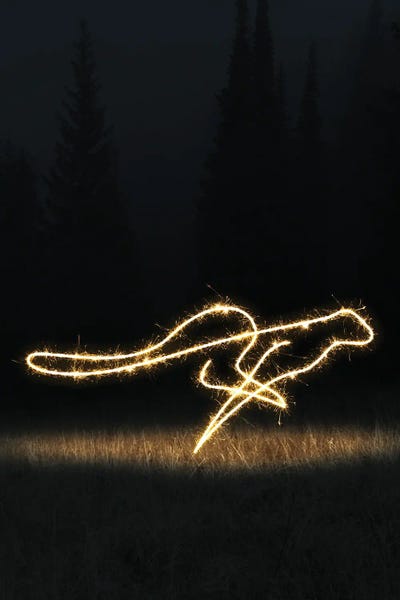 Cheetahs: Cheetah by Gab Fernando