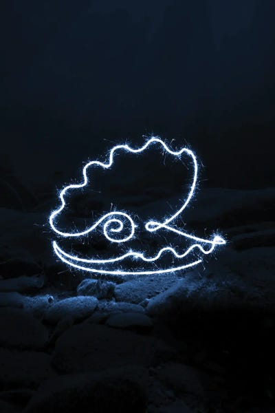 Sea Clamp by Gab Fernando canvas print