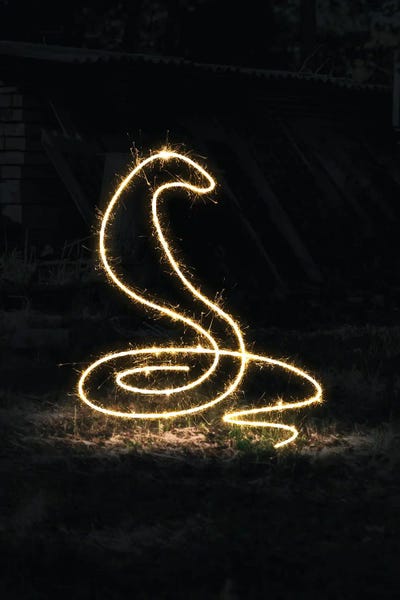 Snakes: King Cobra by Gab Fernando