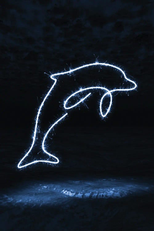 Dolphin