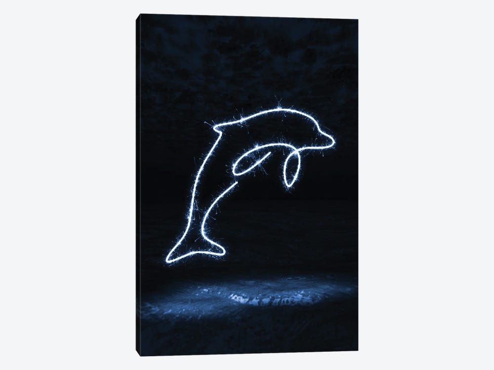 Dolphin by Gab Fernando 1-piece Canvas Artwork