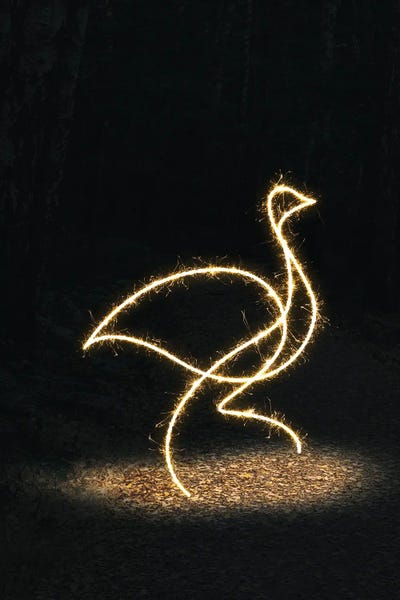 Neon: Duck Bird by Gab Fernando