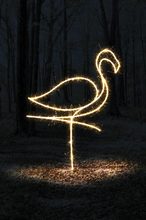 Flamingo by Gab Fernando wall art