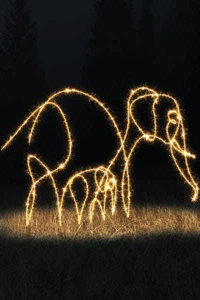 Neon: Elephant II by Gab Fernando