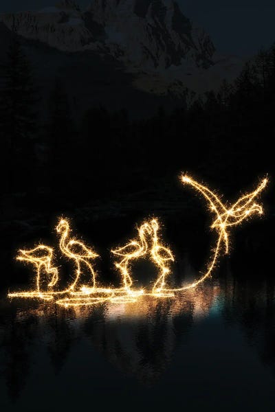 Flamingos: Flamingo II by Gab Fernando