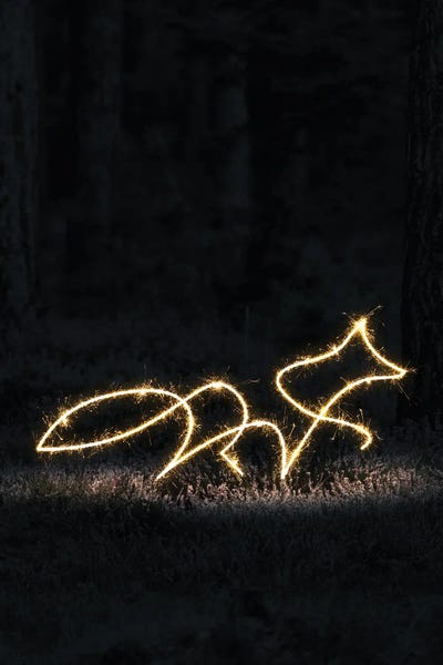 Neon: Fox by Gab Fernando