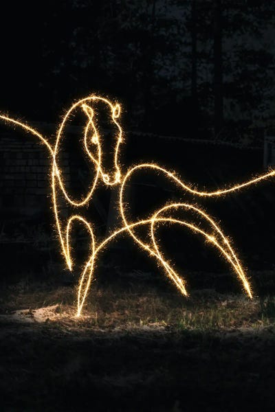 Neon: Horse II by Gab Fernando