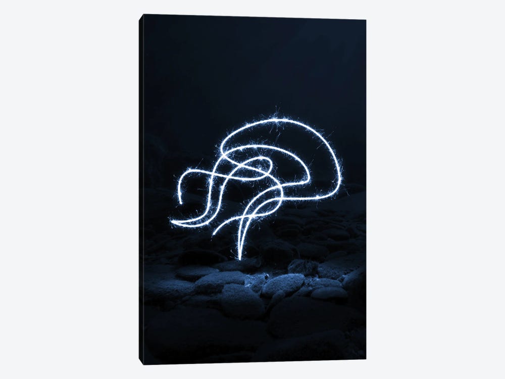 Box Jellyfish by Gab Fernando 1-piece Canvas Print