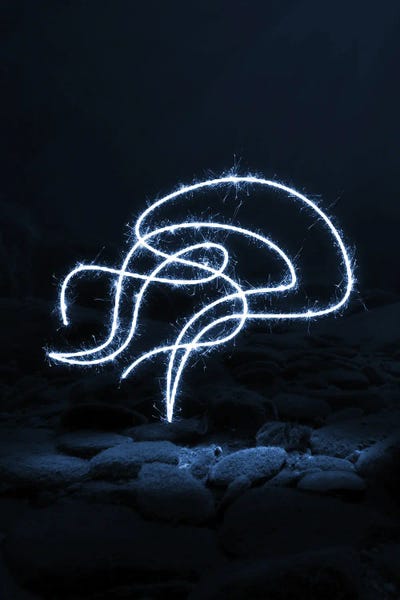 Jellyfish: Box Jellyfish by Gab Fernando