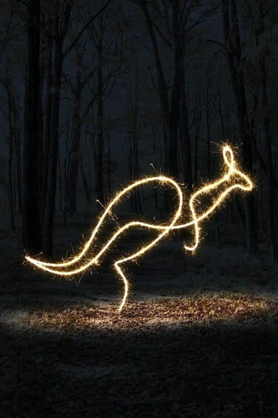 Kangaroos: Kangaroo by Gab Fernando