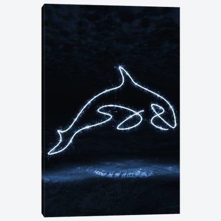 Killer Whale Canvas Print #GFN789} by Gab Fernando Canvas Print