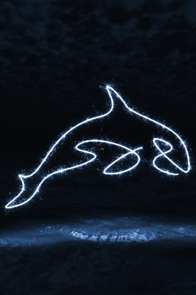 Whales: Killer Whale by Gab Fernando