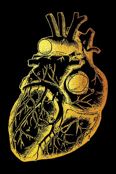 Biology: Heart II by Gab Fernando