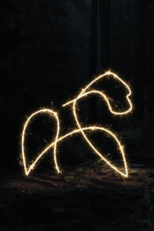 Kong