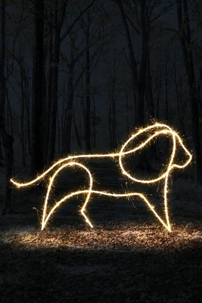 Lion by Gab Fernando canvas print