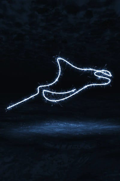 Manta by Gab Fernando framed canvas print