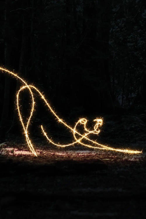 Panther