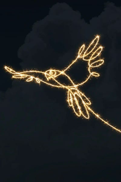 Parrots: Parrot by Gab Fernando