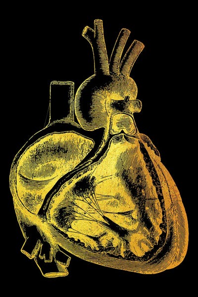 Biology: Heart III by Gab Fernando