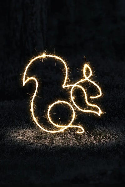 Squirrels: Squirrel by Gab Fernando