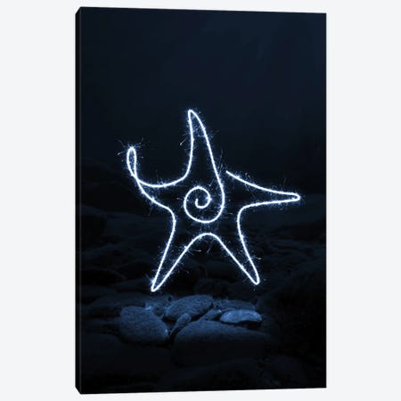 Starfish Canvas Print #GFN801} by Gab Fernando Canvas Art
