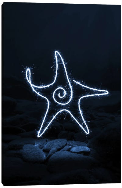 Starfish Canvas Art Print - Starfish Art