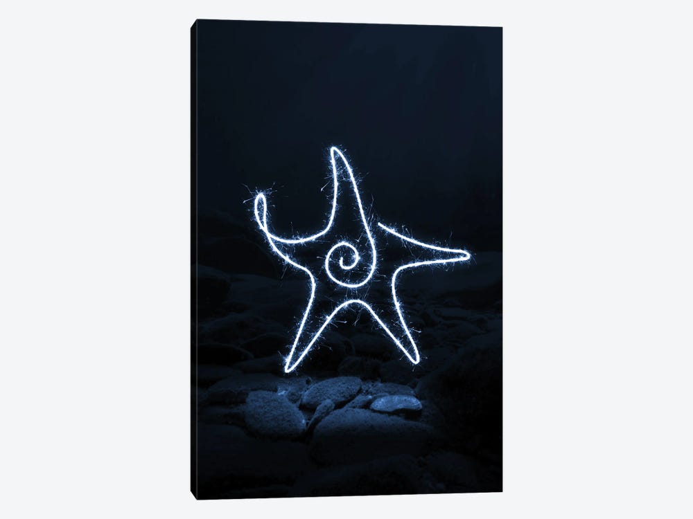 Starfish by Gab Fernando 1-piece Canvas Art Print