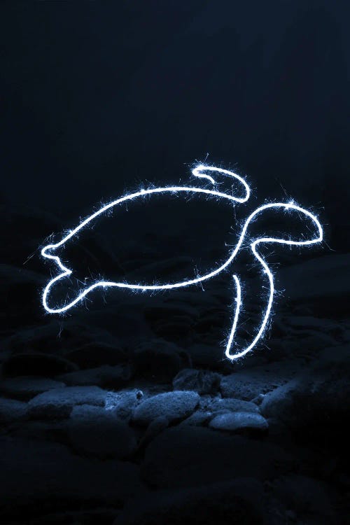 Turtle by Gab Fernando wall art