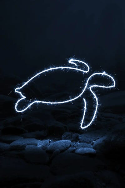 Turtles: Turtle by Gab Fernando