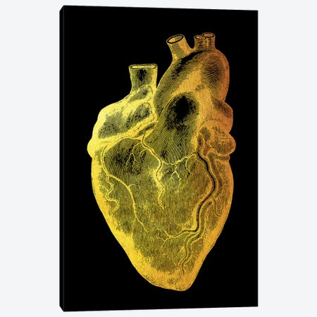 Heart IV Canvas Print #GFN80} by Gab Fernando Art Print
