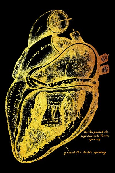 Biology: Heart V by Gab Fernando