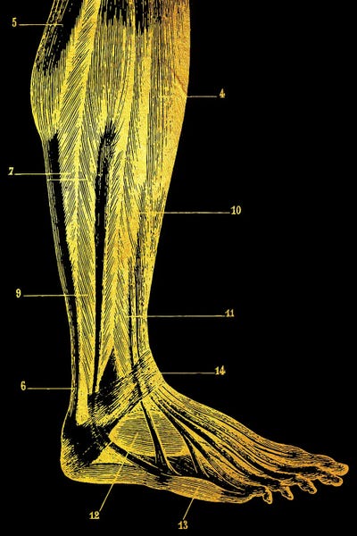 Neon: Leg by Gab Fernando
