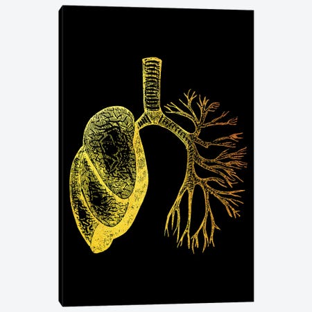 Lungs I Canvas Print #GFN85} by Gab Fernando Canvas Wall Art