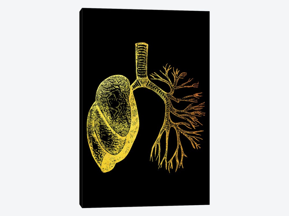Lungs I by Gab Fernando 1-piece Canvas Print