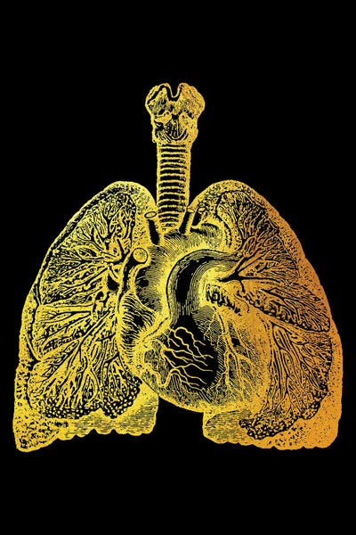 Biology: Lungs III by Gab Fernando