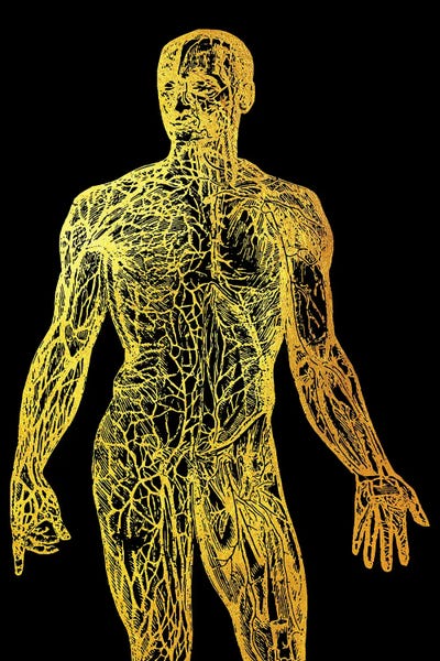 Neon: Back Nerves I by Gab Fernando