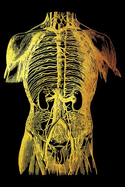 Back Nerves II by Gab Fernando framed canvas print