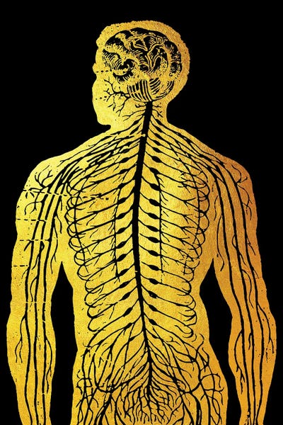 Back Nerves III by Gab Fernando canvas print