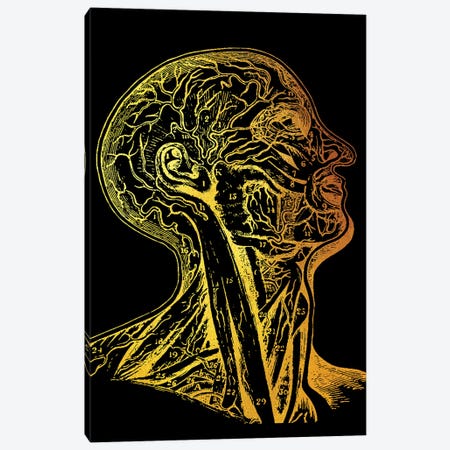 Head Nerves Canvas Print #GFN94} by Gab Fernando Canvas Print