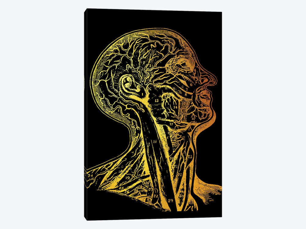 Head Nerves by Gab Fernando 1-piece Art Print
