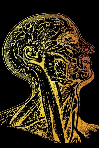 Neon: Head Nerves by Gab Fernando