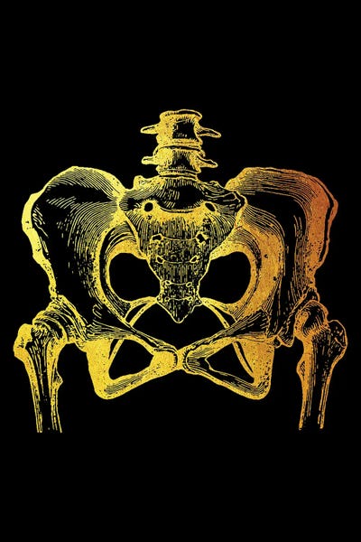 Biology: Pelvic I by Gab Fernando