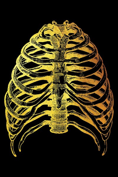 Biology: Ribs II by Gab Fernando